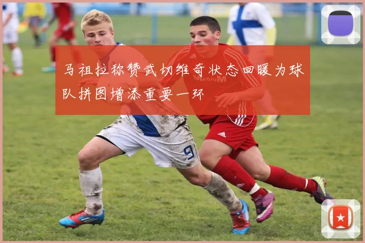 马祖拉称赞武切维奇状态回暖为球队拼图增添重要一环